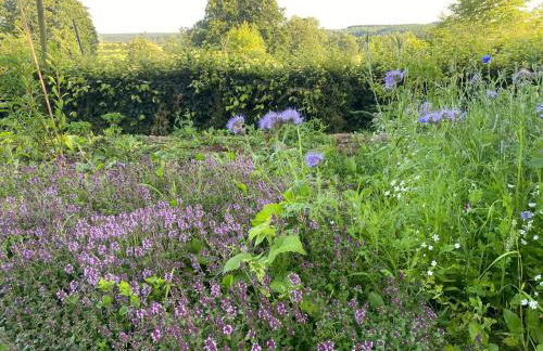 Schwedenhaus Fridhem Monschau- Weitblick - Foto 21