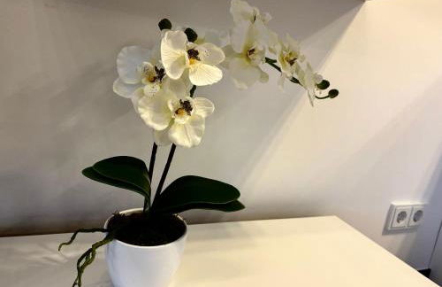 AG Deluxe Ferienwohnung in Kornwestheim - Foto 34