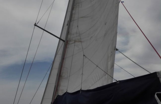 Scugnizza Napoli - Foto 32