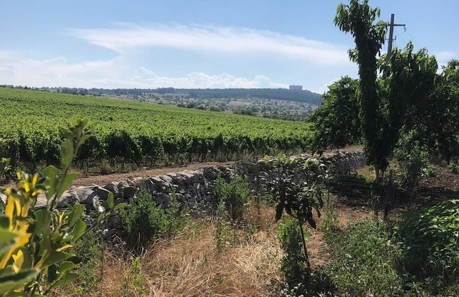 Ai Pilieri di Bagnoli - Foto 45