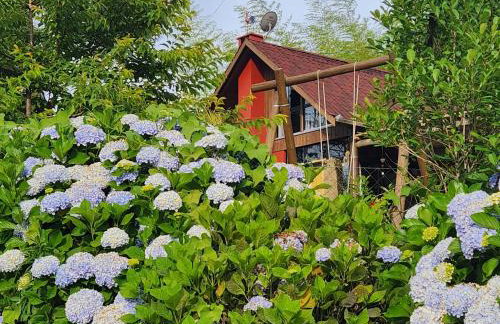 Chalé manacá da Serra - Foto 3