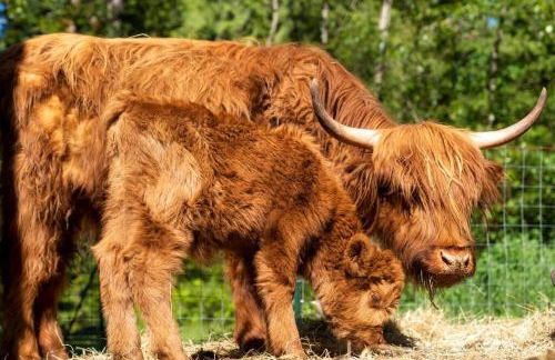 The Cottage at Highland Farms - Foto 25