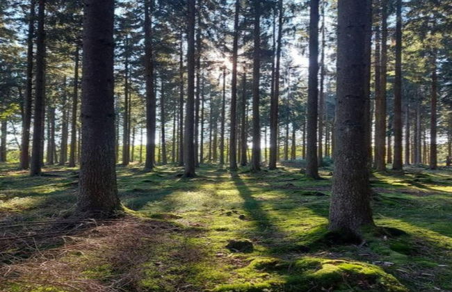 Stylish Apartment With Terrace in Sonneberg - Foto 29