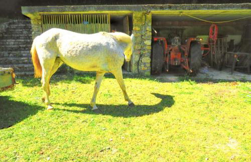Charming House with Shared Pool in Porto de Mós. - Foto 20