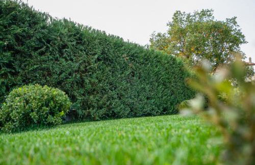 Meteora vibes - Foto 12