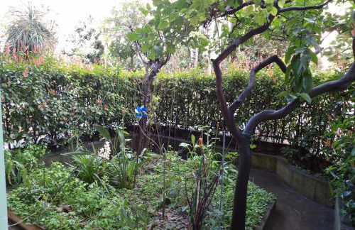 Studio japonisant - Photo 12