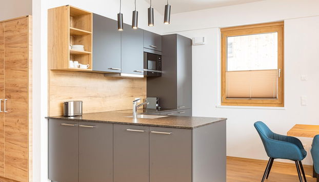 Exclusive Apartment Near Mittersill - Foto 5, Cocina privada