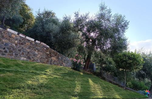 Almarea, a house between the sea and olive trees - Foto 22
