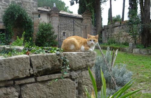 Appartamenti Lais in Sipicciano - Foto 35