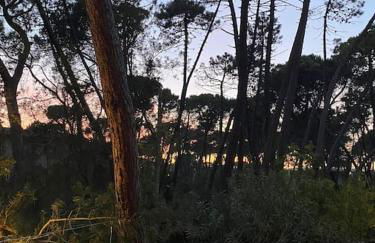 Casa Lucia a due passi dal mare Wi-Fi free parking - Foto 28