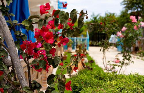 Asteri Studios - Photo 26