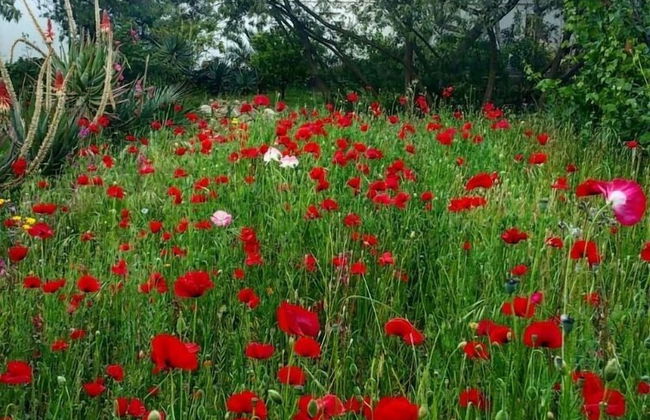 Casa Orsoni - Photo 64