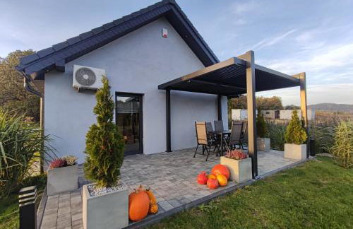 Domki Karkonosze Pod Dębem - Foto 29