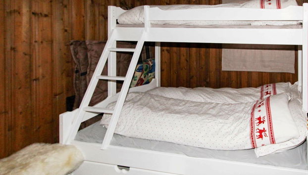 8 Person Holiday Home in Åseral - Foto 2, Habitación