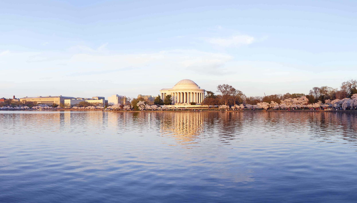 Minicrociera a Washington con pranzo o cena