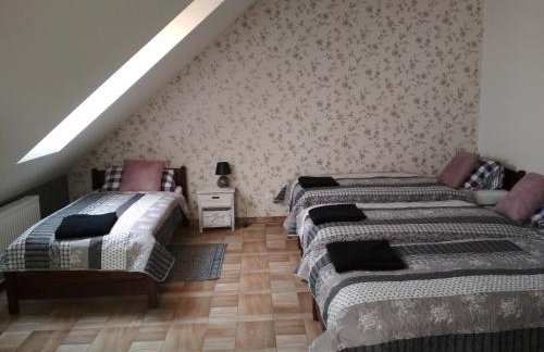 Koci Grzbiet Agroturystyka - Foto 11