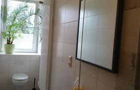 Ferienwohnungen im Vogtland - Foto 41