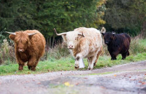Gorgeous English Country Barn - Foto 18