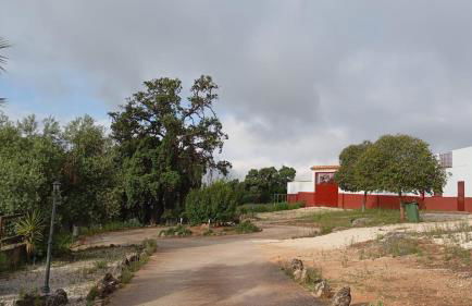 Casas Rurales Cortijo la Cañada - Photo 59