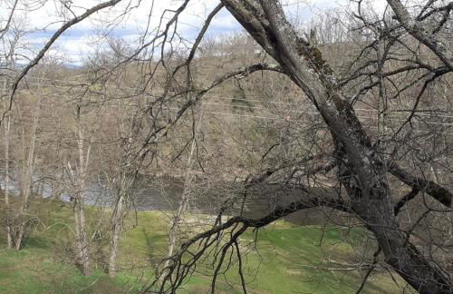 Nid douillet - Foto 1