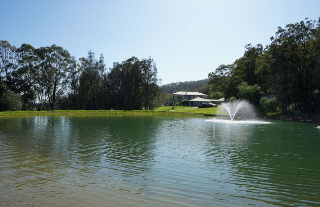 Winmark Wines - Foto 42