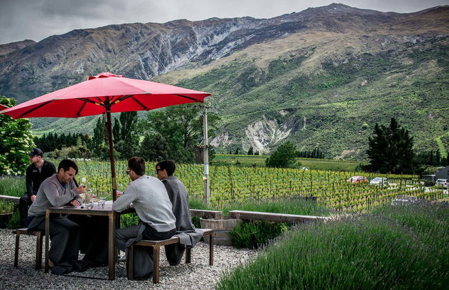 Autobús turístico de los viñedos de Queenstown - Foto 3