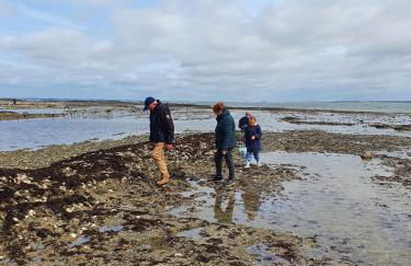 Maison de vacances - côte de Jade - coup de coeur - Foto 38