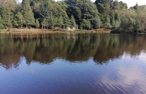 Estudio Camelia - Foto 42