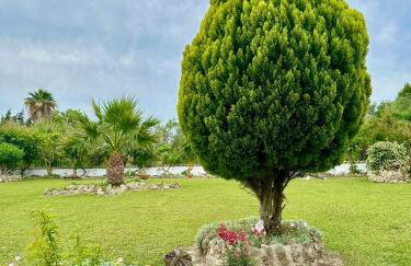 Irene Studios - Foto 10