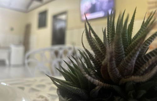 SOBRADO Com 3 QUARTOS NO CORAÇÃO DO COSTA E SILVA - Photo 91