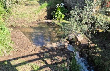 As casinhas do Moinho - Foto 36