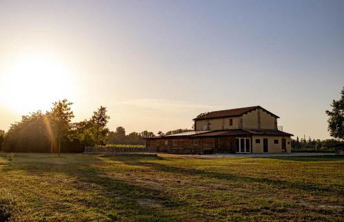 Podere del Riccio - Foto 13