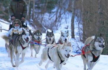 LA PRADELLA BOLQUERE Pyrénéés 2000 - Foto 19
