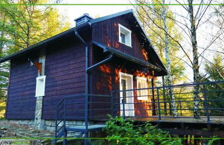 Domek Zielony Widok - noclegi Bieszczady - Foto 32