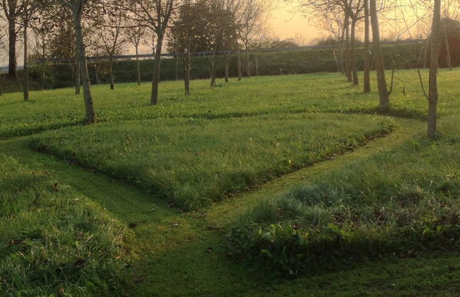 Antica "casa Cervade" Pica Venetian Farmhouse, Preserved Original From 1902 - Foto 38