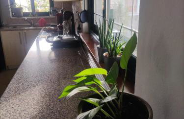 HOME SWEET HOME Διαμέρισμα 50τμ σε ήσυχη περιοχή - Foto 19