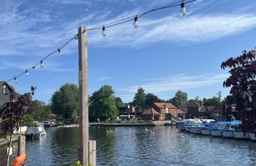 Dog friendly cottage on the edge of the Norfolk Broads - Foto 76