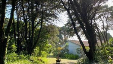 House of green leaves - Foto 2, Garden