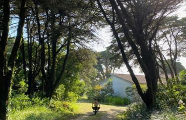 House of green leaves - Foto 2