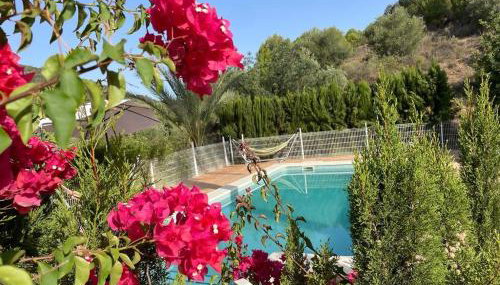 Casa Rural Los Menestrales - Foto 5