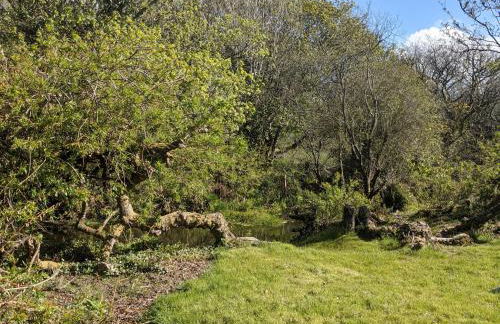 The Cottage, Little Trembroath - Photo 15