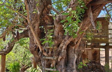 La Zalema - Photo 45