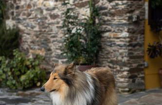 Casa A Curiscada - Foto 73