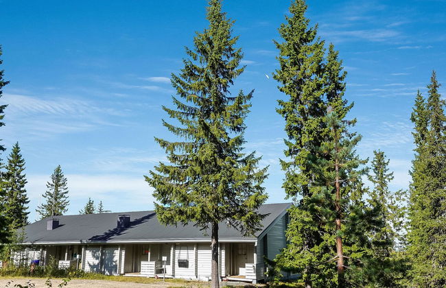 Lupposyöte b1 - Photo 7