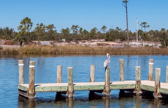 Grand Caribbean 320 - Foto 13