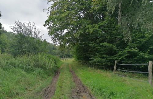 Silent Hill House - Foto 45