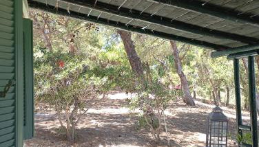 Petrino 1 - Traditional Lerian House - Foto 4