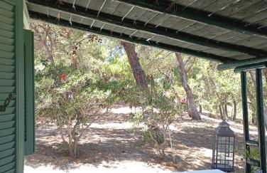 Petrino 1 - Traditional Lerian House - Foto 4