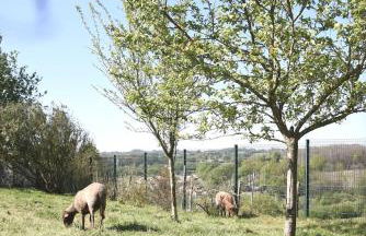 Gîtes de l'ancienne école, 24 personnes - Photo 32