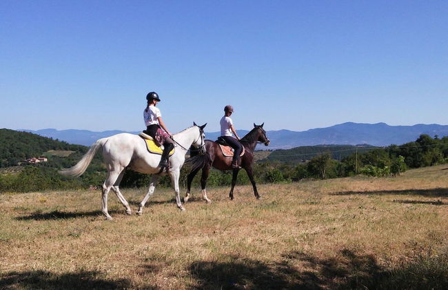 Apartment Monte Santa Maria With Pool Views - Foto 4